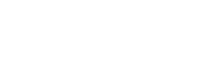 Logo Sfantul Anton Footer